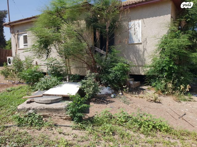 משק חקלאי/ נחלה, שדה צבי