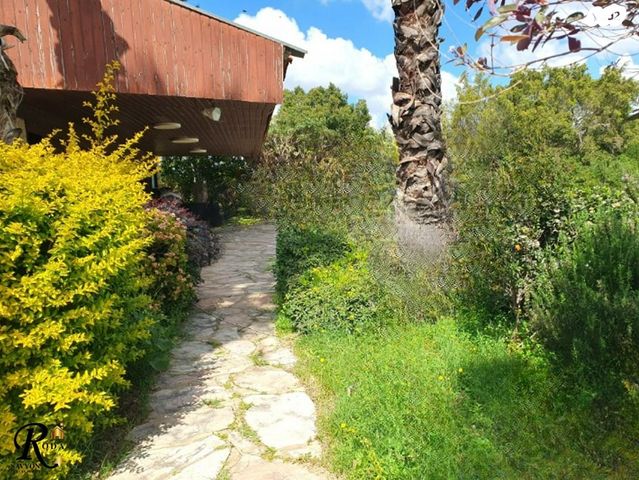 בית פרטי/ קוטג', סביון