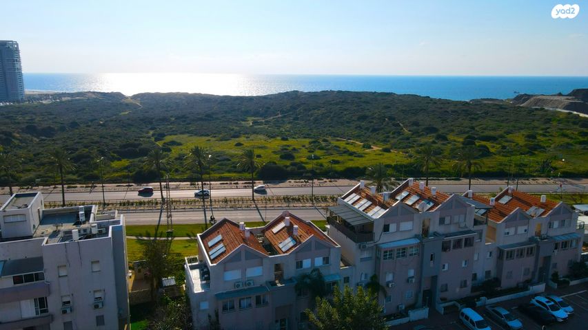 דופלקס, אירוס הארגמן, גבעת האירוסים, נתניה