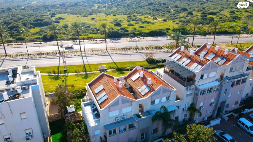 דופלקס, אירוס הארגמן, גבעת האירוסים, נתניה