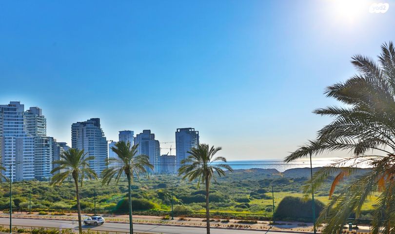 אירוס הארגמן 