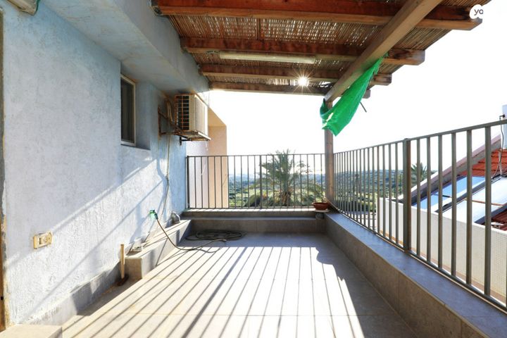 דופלקס, אירוס הארגמן, גבעת האירוסים, נתניה