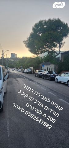 ורדים 