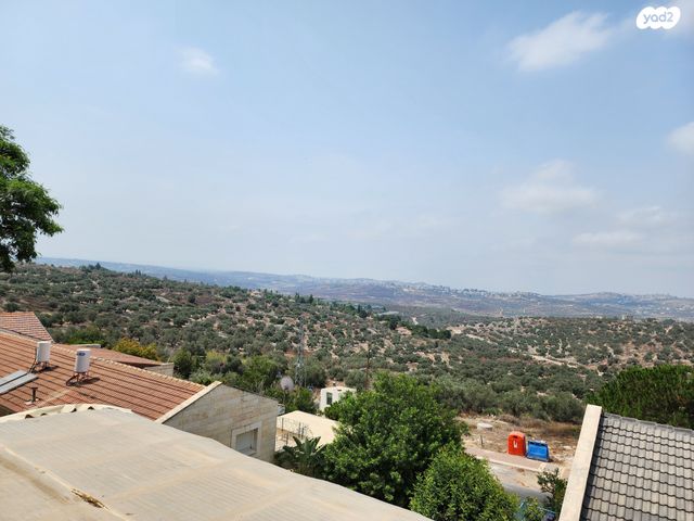 דו משפחתי, קדומים