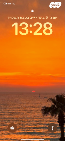 אלי לנדאו 60