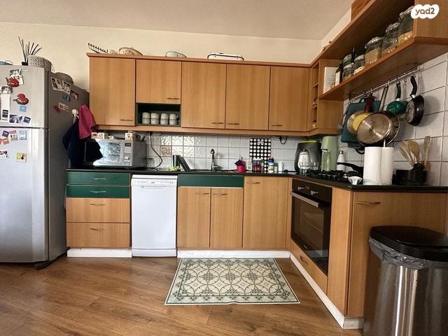 גג/ פנטהאוז, פרץ חיות, תל אביב יפו