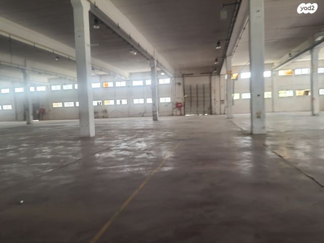 דרך אליהו נאוי 