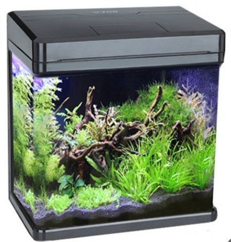 אביזרים | אקווריום