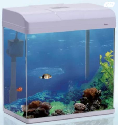 אביזרים | אקווריום