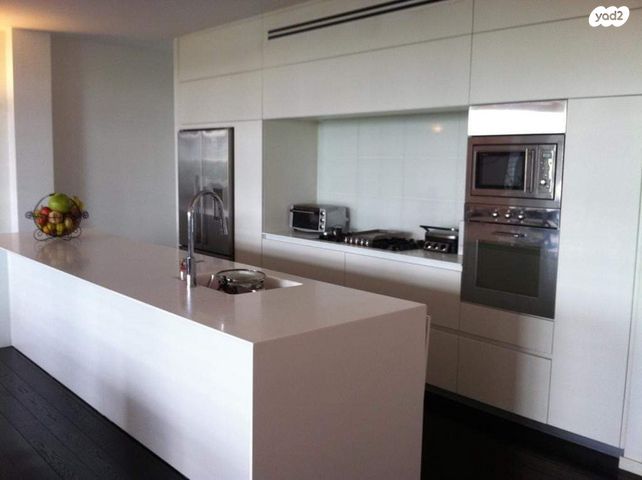 דוד אבידן 20