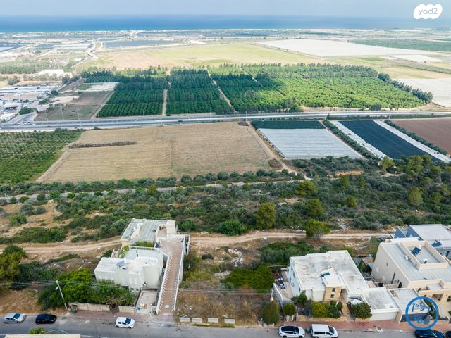 מגרשים, המושבה, זכרון יעקב