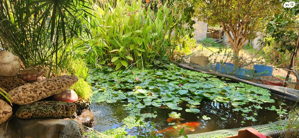 בית פרטי/ קוטג', מסדה 36, קרית מטלון, פתח תקווה