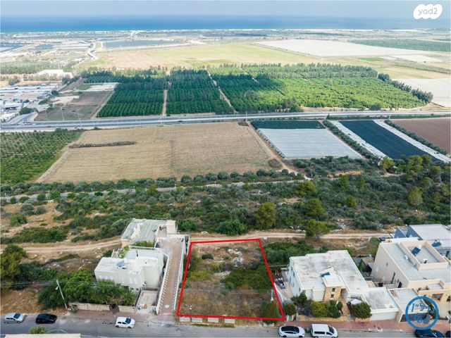 מגרשים, המושבה, זכרון יעקב