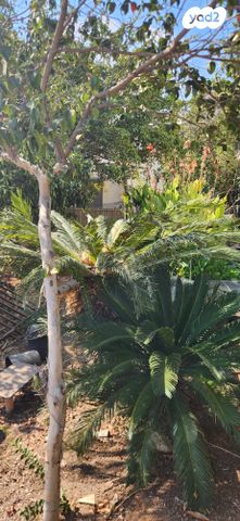 בית פרטי/ קוטג', מסדה 36, קרית מטלון, פתח תקווה