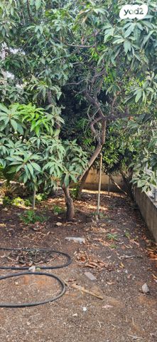 בית פרטי/ קוטג', מסדה 36, קרית מטלון, פתח תקווה