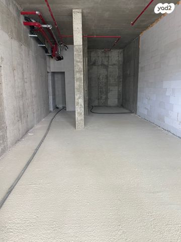 ברל כצנלסון 