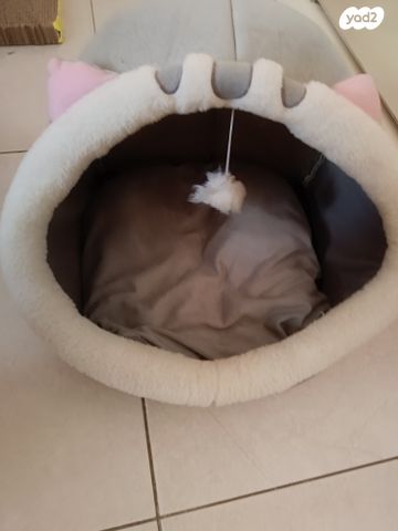 אביזרים | מיטה