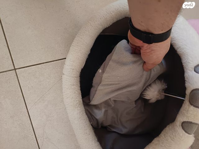 אביזרים | מיטה