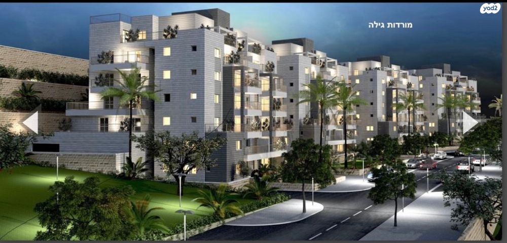 אבנר חי שאקי 