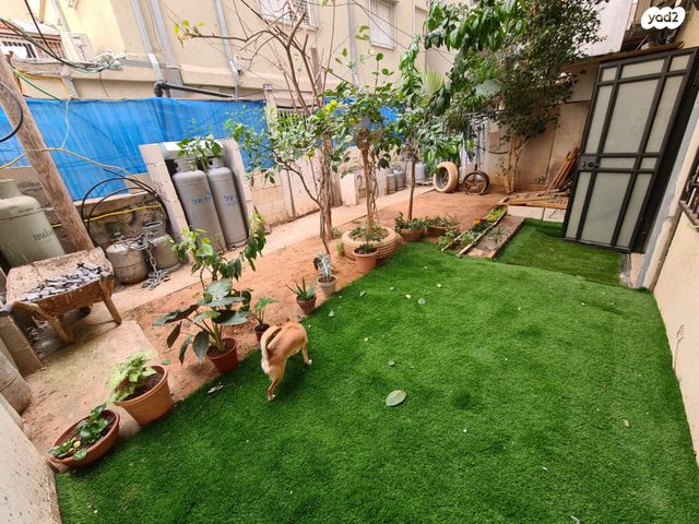 דירת גן, יהודה הימית, צפון יפו, המושבה האמריקאית-גרמנית, תל אביב יפו