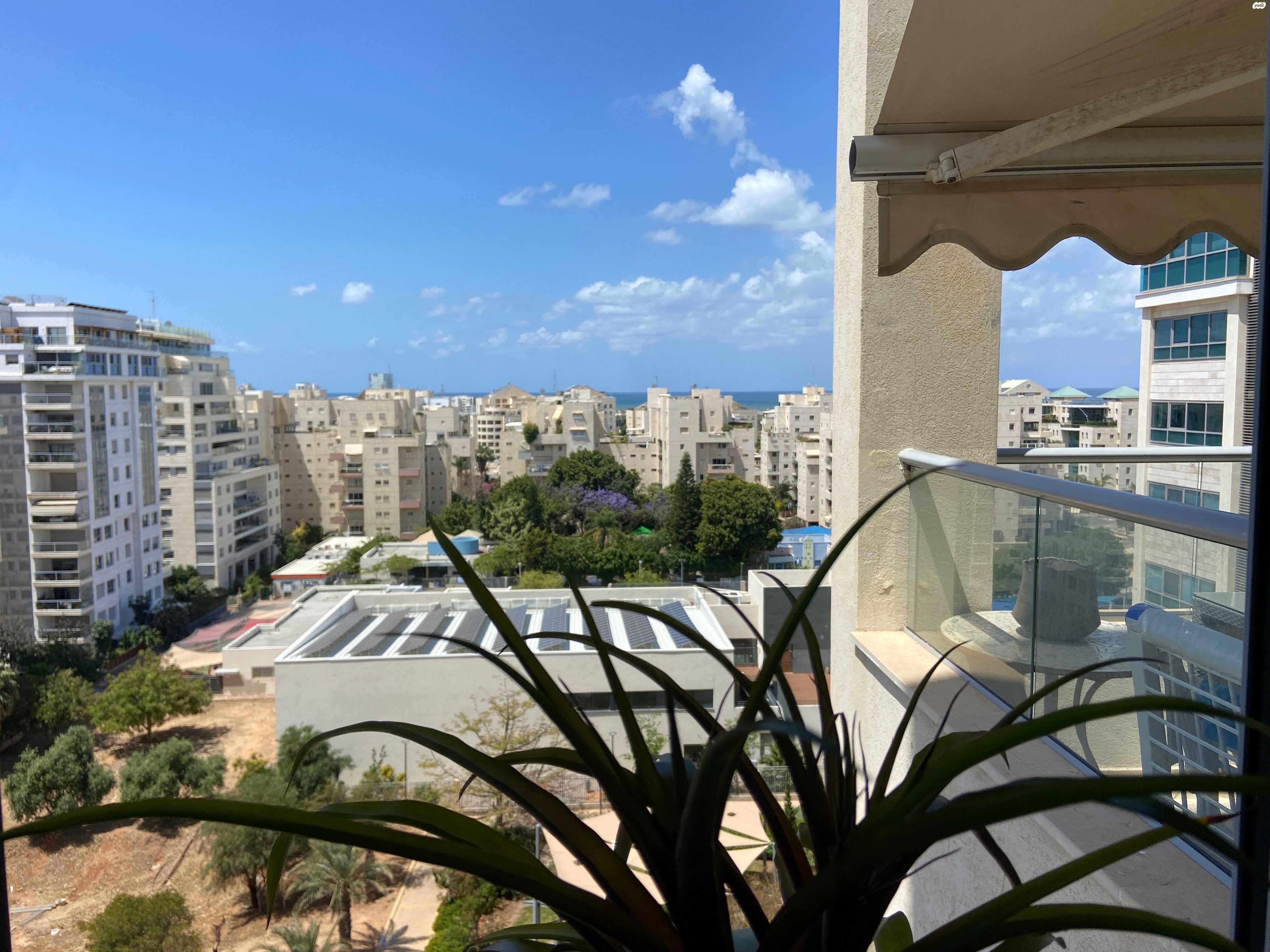 כוכב הצפון