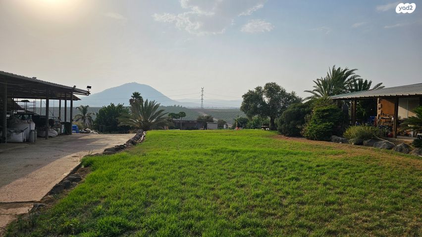 משק חקלאי/ נחלה, כפר קיש