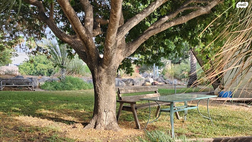 משק חקלאי/ נחלה, כפר קיש