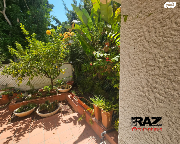 בית פרטי/ קוטג', ברנר, הרצליה