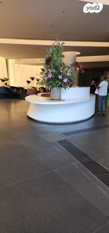 משרדים, גני שרונה, קרית הממשלה, תל אביב יפו