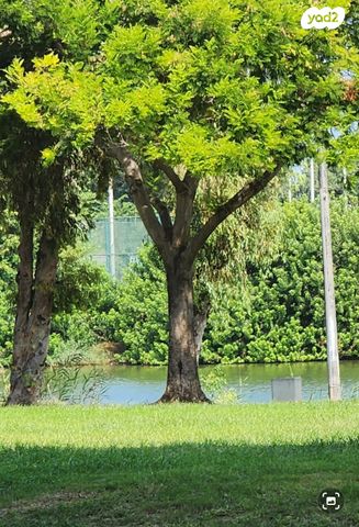 משרדים, תל אביב יפו