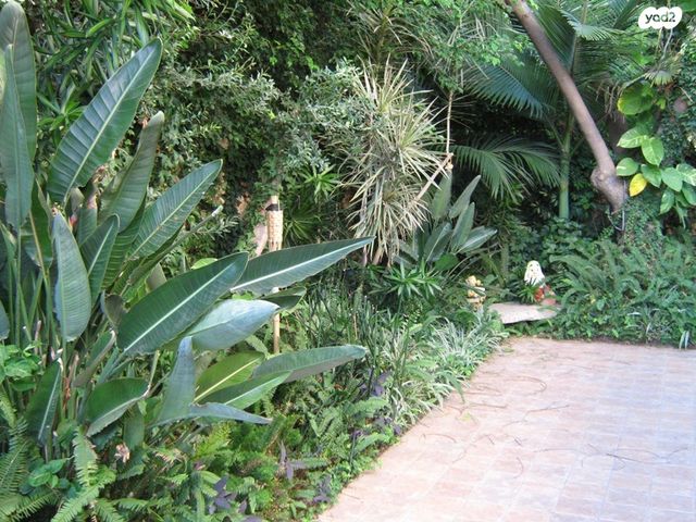 בית פרטי/ קוטג', הרצליה פיתוח, הרצליה