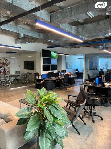 משרדים, שפיים