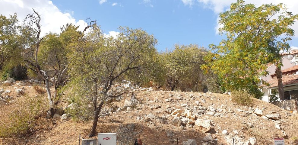 מגרשים