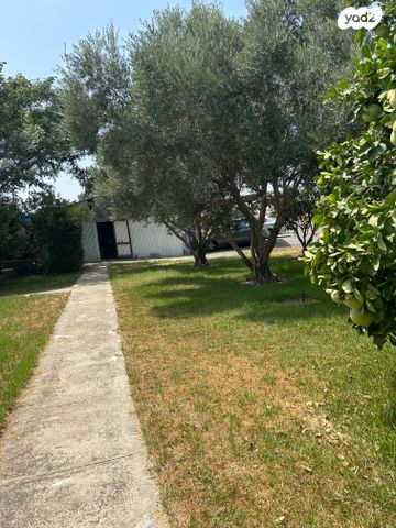 משק חקלאי/ נחלה, מאור