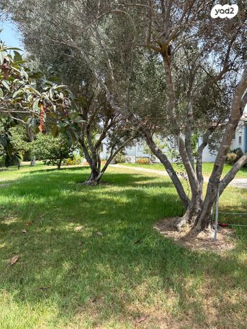 משק חקלאי/ נחלה, מאור