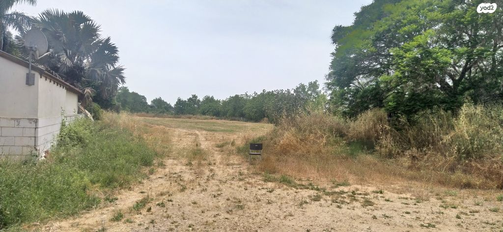 משק חקלאי/ נחלה, בורגתה