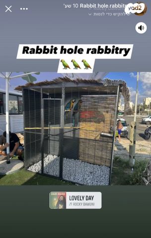 תמונת מודעה - חיות מחמד