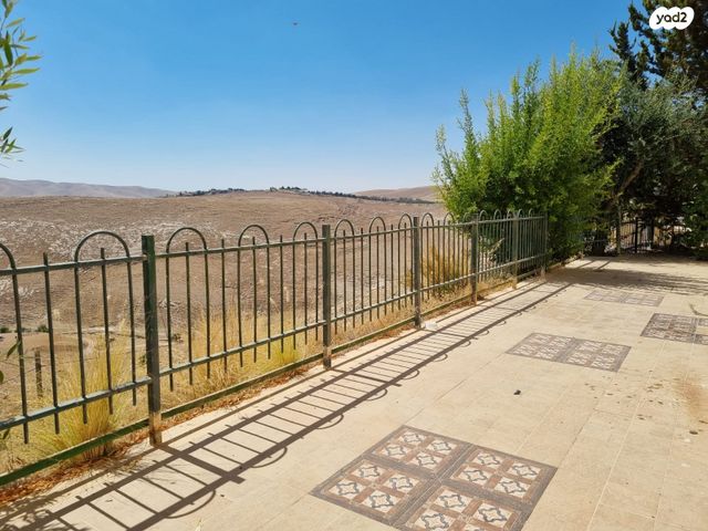 הרותם 