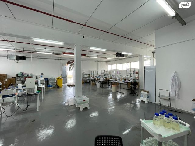 משרדים, נשר