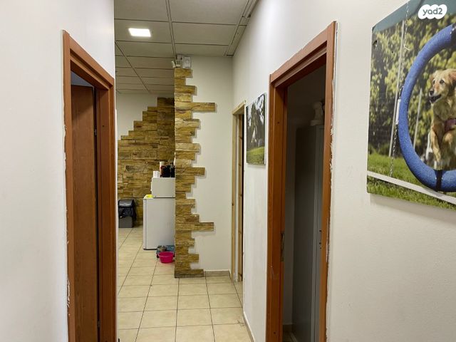 משרדים, נשר