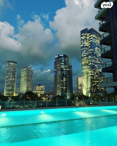 ליאונרדו דה וינצ'י 12