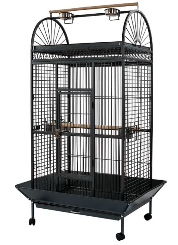 אביזרים | כלוב האכלת יד