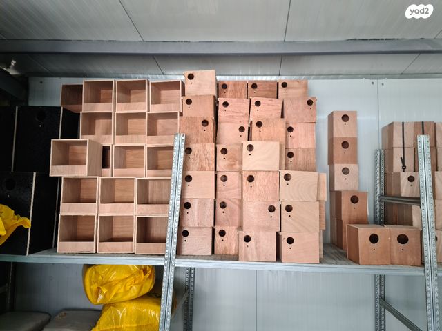 תמונת מודעה - חיות מחמד