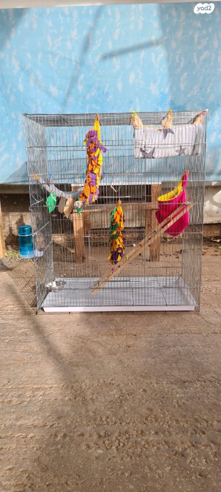 תמונת מודעה - חיות מחמד