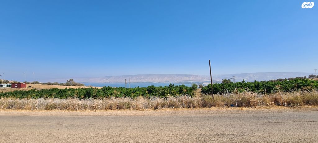 מגרשים