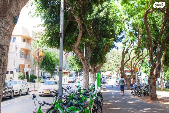 גג/ פנטהאוז, בורוכוב, לב תל אביב, לב העיר צפון, תל אביב יפו