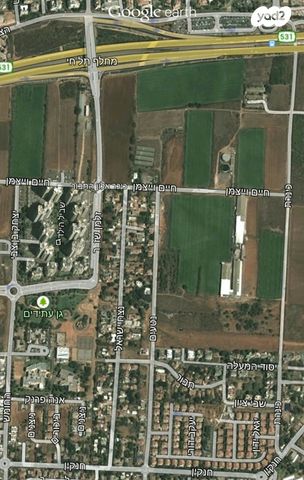 דירה, יסוד המעלה 19, שאר העיר, הוד השרון