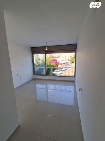 פנחס רוטנברג 