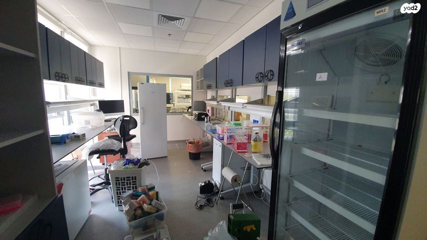 משרדים, אילן רמון, נס ציונה