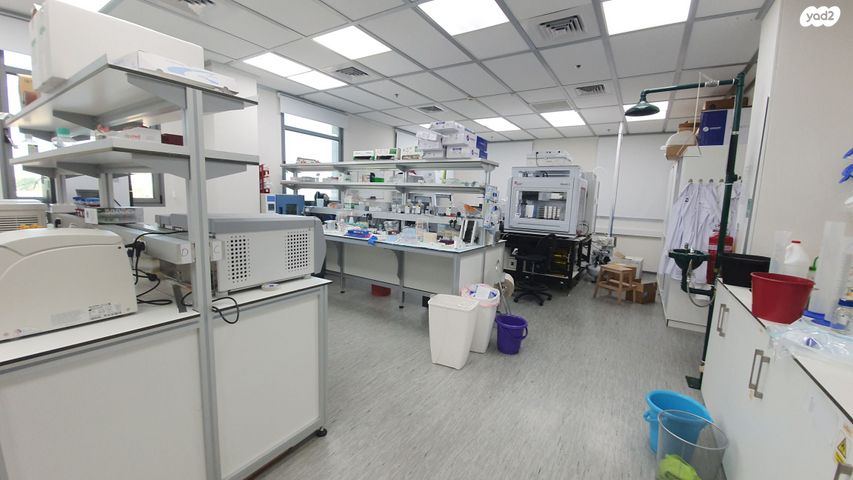 אלי הורוביץ 